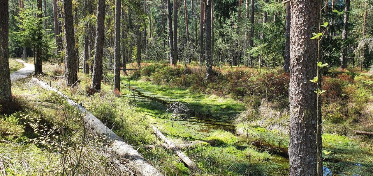 Eco Domek Z Duzym Ogrodem I Widokiem ムジャシフレ エクステリア 写真