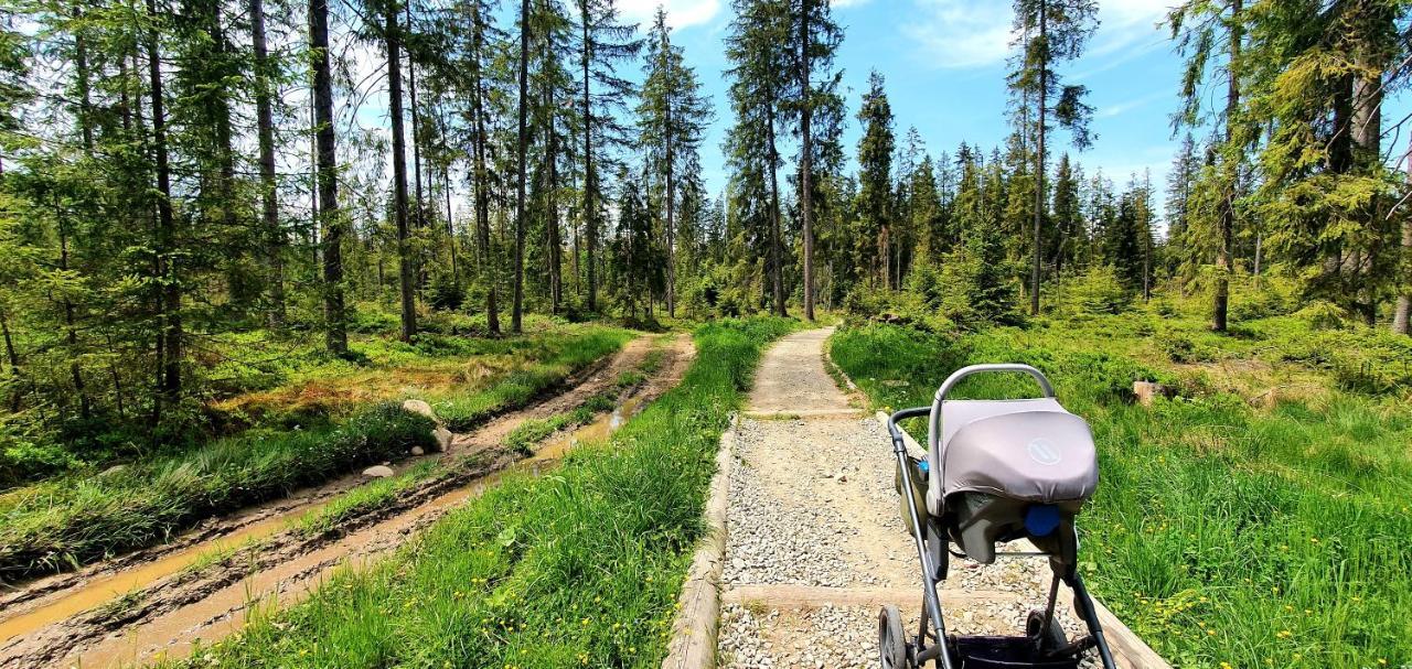 Eco Domek Z Duzym Ogrodem I Widokiem ムジャシフレ エクステリア 写真