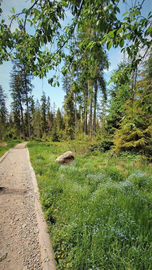 Eco Domek Z Duzym Ogrodem I Widokiem ムジャシフレ エクステリア 写真